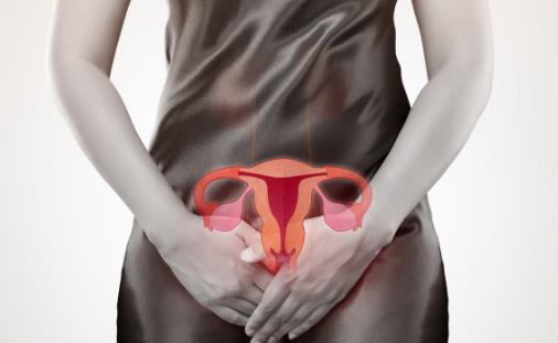 子宫是女人的第二张脸 女性子宫日常护理要点-八福集