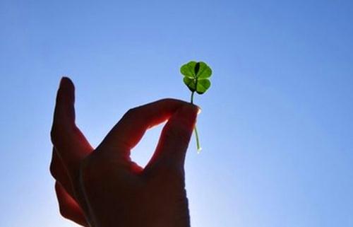 职场新人别太狂傲 细数新人狂傲事例-八福集