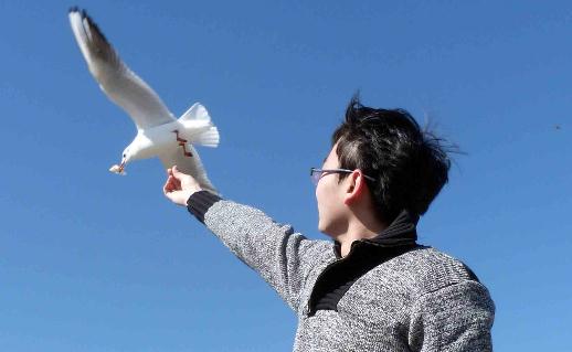 拥有这些心态更容易找到好工作-八福集