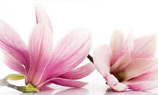 盘点妇科疾病会带来的危害-八福集