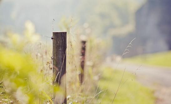 最易“嫁给工作”的职场星座女-八福集