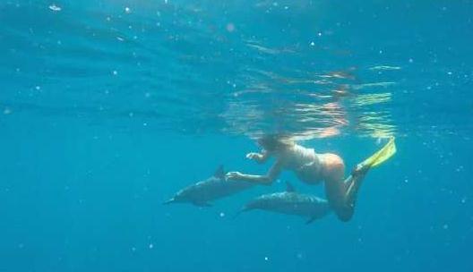 美国夫妇准备海中分娩,让海豚来接生