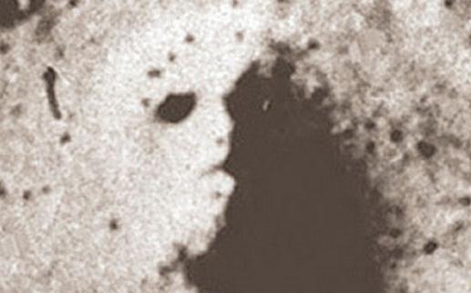 火星的“上帝之脸”是“古代雕像”?