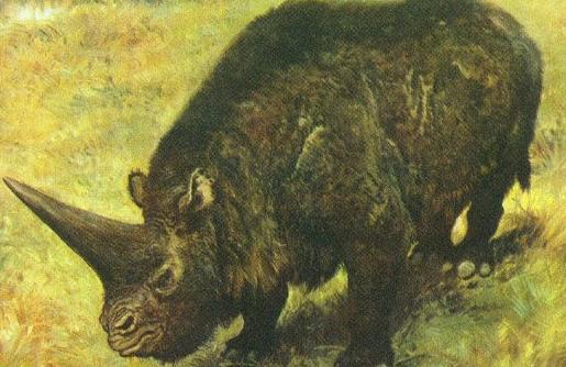 大揭秘:史前动物你知道多少?