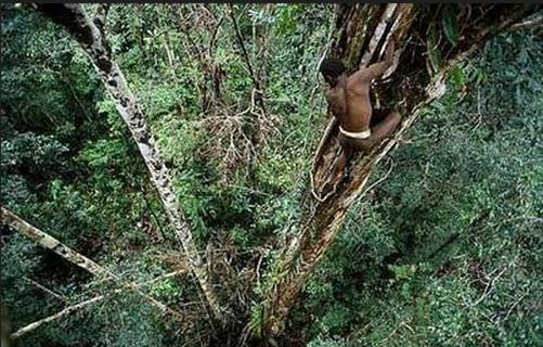 世界上，最后的石器时代-八福集