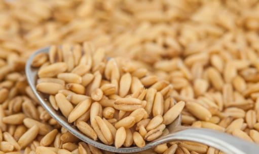 用燕麦减肥 燕麦粥的减肥的八种食用方法-八福集