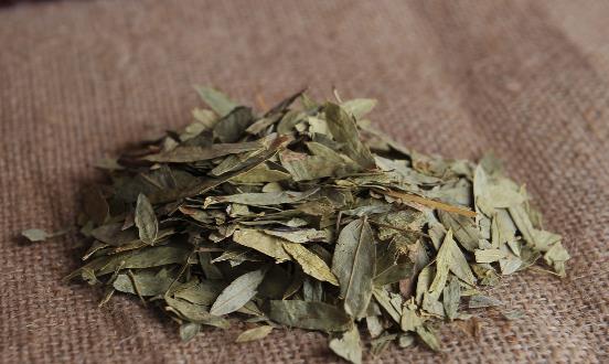 番泻叶减肥方法千万别尝试 伤害身体还没效果-八福集