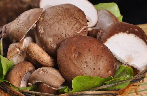 喝咖啡可以减肥是个误区!你真的想多了