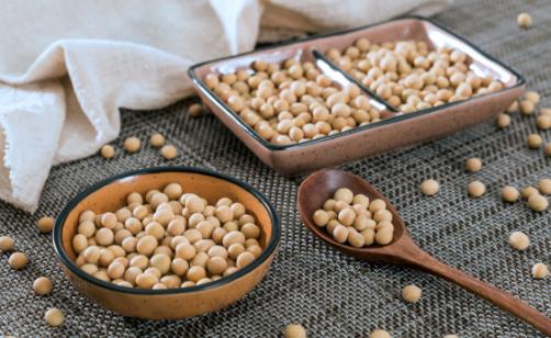 乳房的爱恨食物吃错胸越小 为乳房健康应少吃的食物-八福集