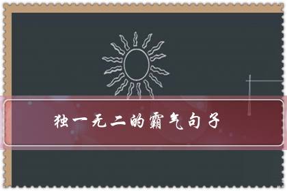 独一无二的霸气句子(野性霸气干净社会句子)-八福集