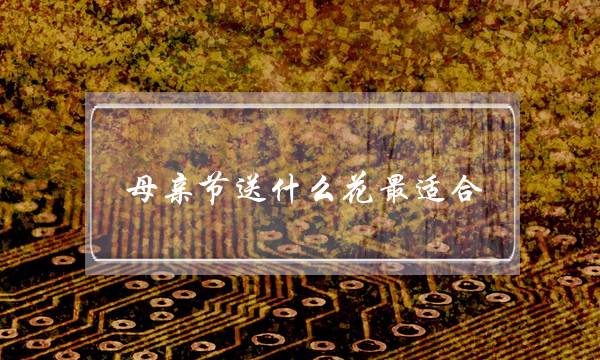 母亲节送什么花最适合(这3种花最适合在母亲节送给妈妈)-八福集