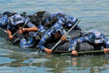 空降兵不属于什么军种 海军陆战队有空降兵吗-八福集