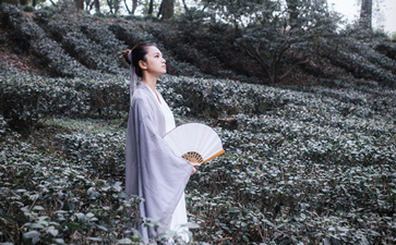 100首完整的最美古诗词-八福集