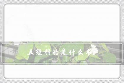 五经指的是什么书(读完四书五经相当于大学文化)-八福集