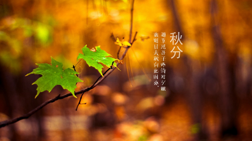 感谢老师对孩子的教育和辛苦的句子 家长感谢老师辛苦的话-八福集