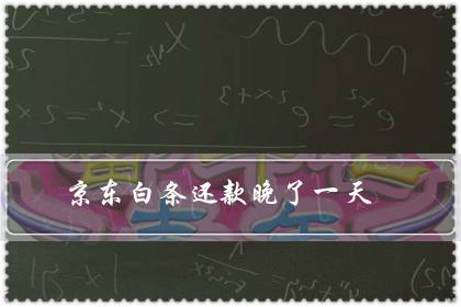 京东白条还款晚了一天(白条晚了一天会上征信吗)-八福集