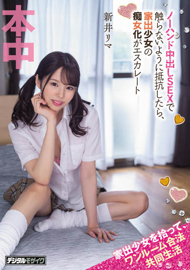 新井リマ(新井里真)作品HMN-273介绍及封面预览