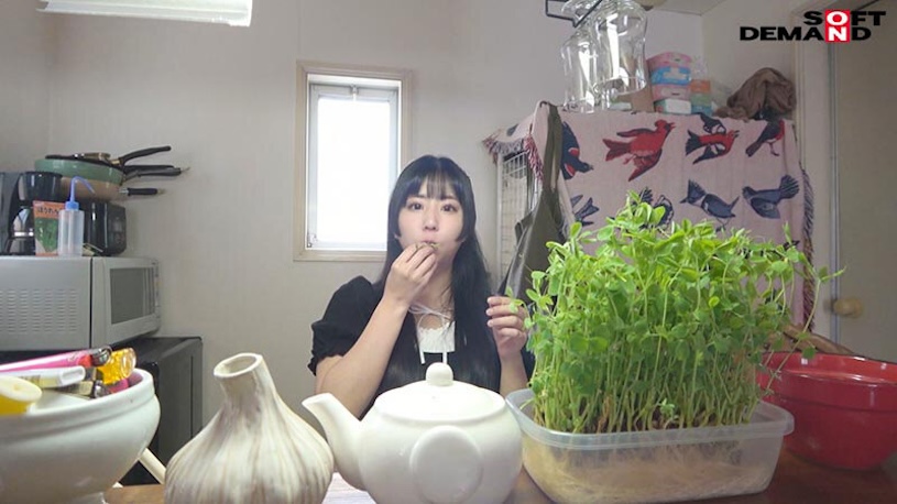 六华ノア(六华乃爱)最新作品SDAM-125介绍及封面预览